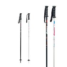 Ski Poles